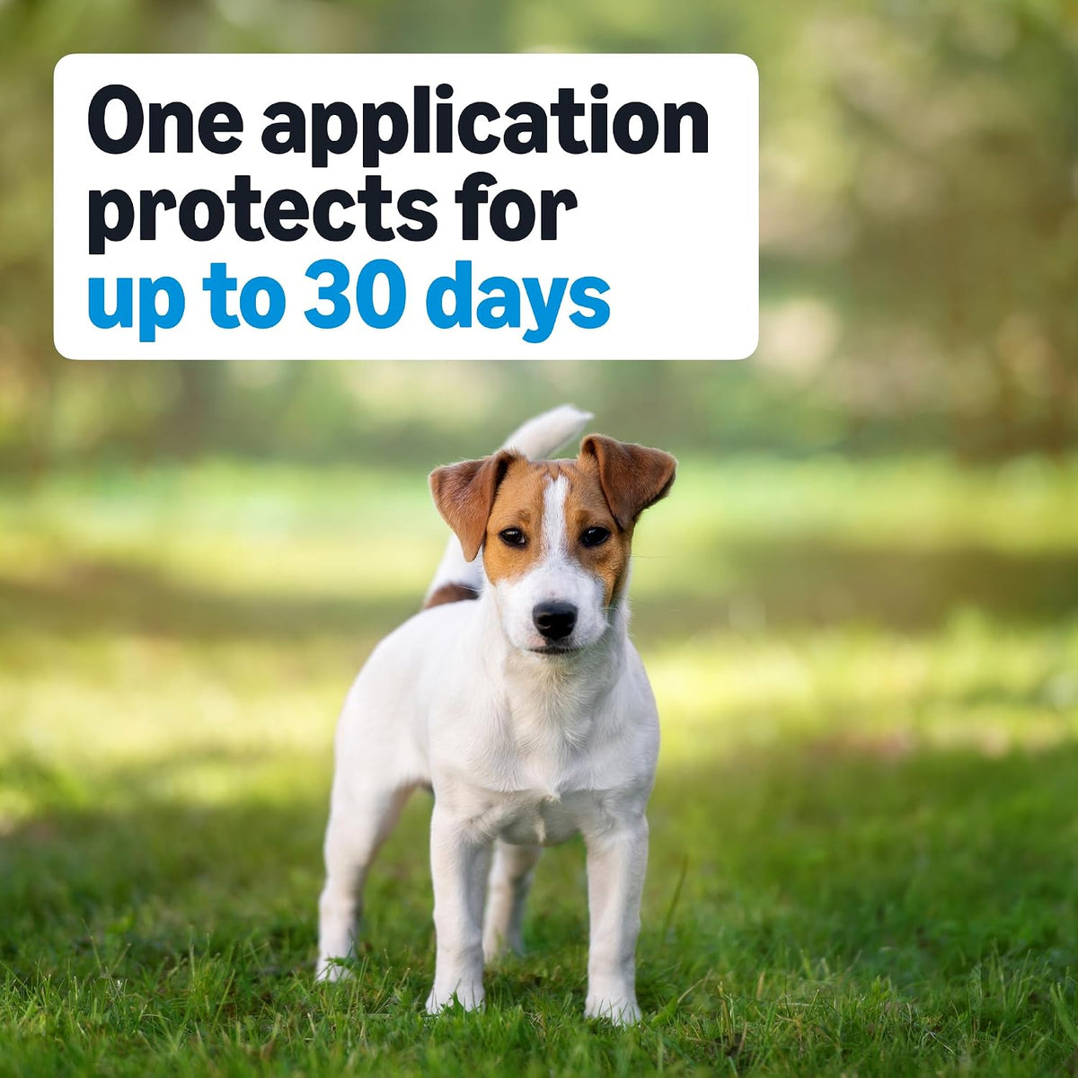 Flea, Tick & Mosquito Topical Treatment & Prevention for Medium Dogs (11-20 pounds), Fast-Acting, Kills Fleas, Eggs & Larvae, 30 Day Protection, Packaging May Vary