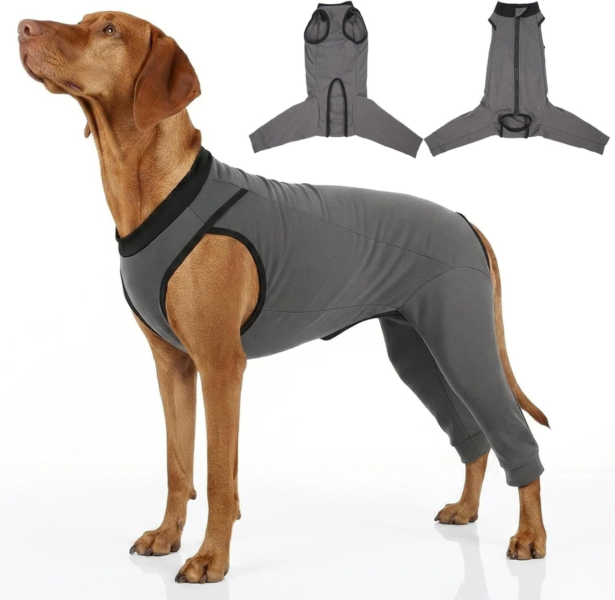 Innovating Dog Rear Leg Sleeve to Stop Lick, Dog Surgery Recovery Suit