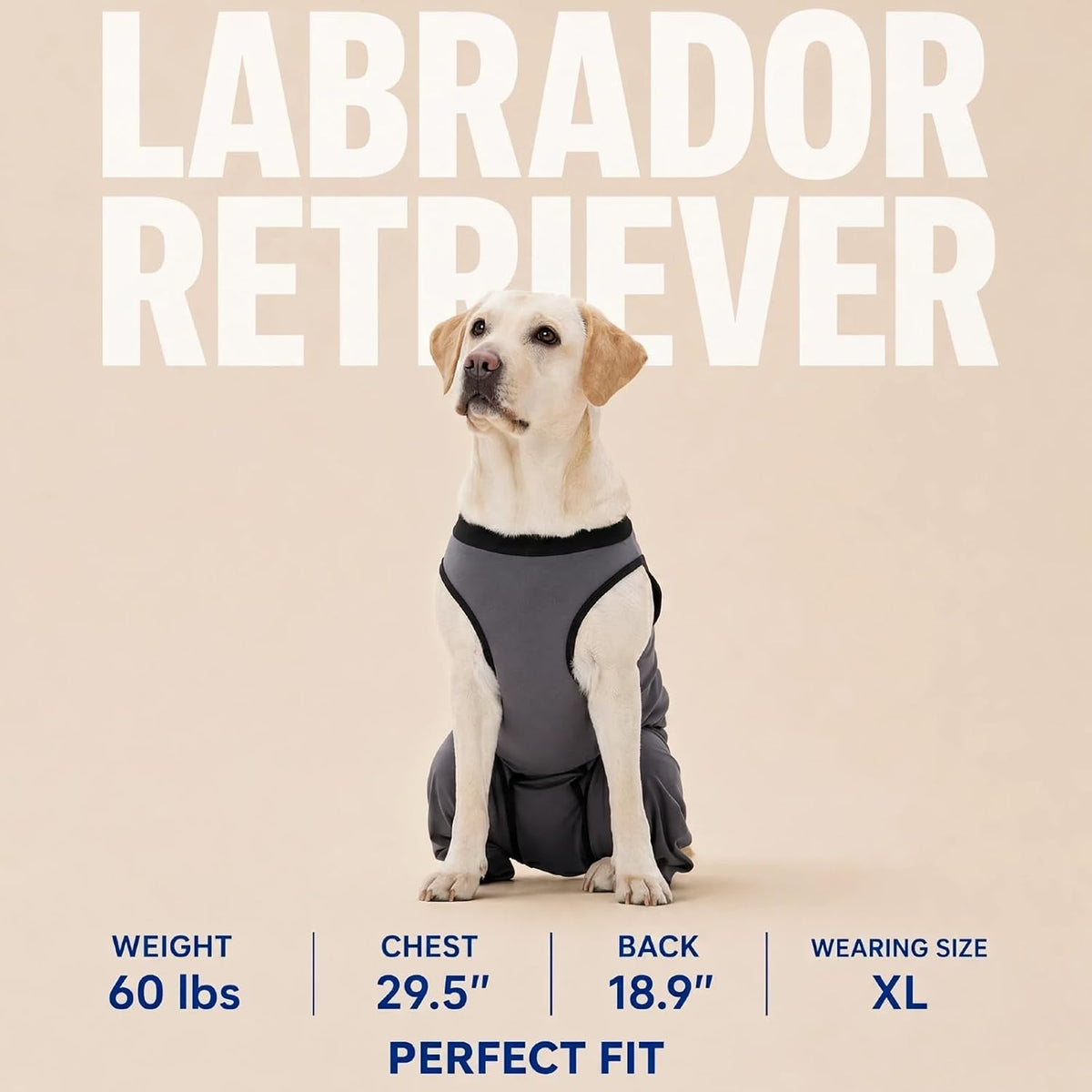 Innovating Dog Rear Leg Sleeve to Stop Lick, Dog Surgery Recovery Suit