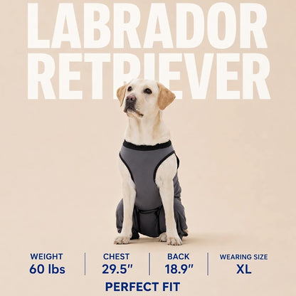 Innovating Dog Rear Leg Sleeve to Stop Lick, Dog Surgery Recovery Suit