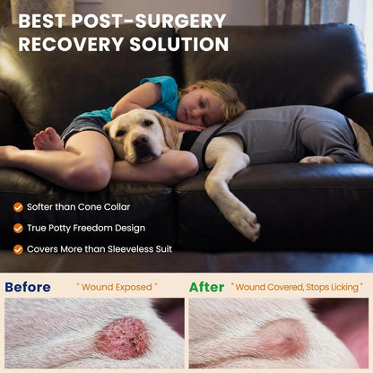 Innovating Dog Rear Leg Sleeve to Stop Lick, Dog Surgery Recovery Suit