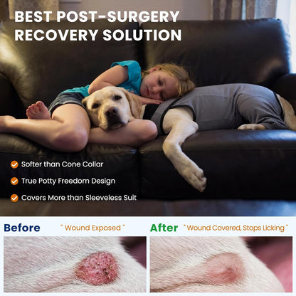 Innovating Dog Rear Leg Sleeve to Stop Lick, Dog Surgery Recovery Suit