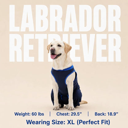 Innovating Dog Rear Leg Sleeve to Stop Lick, Dog Surgery Recovery Suit
