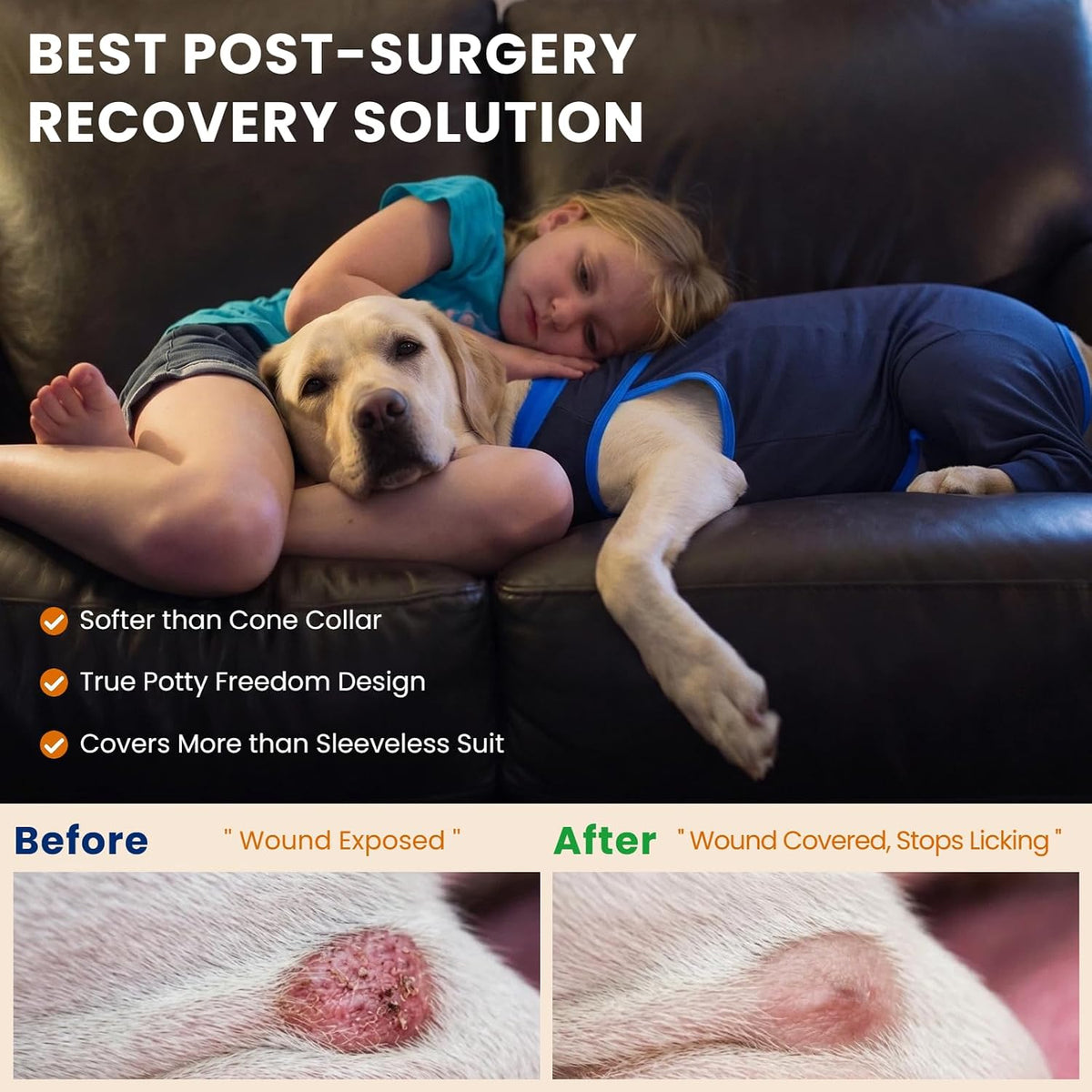 Innovating Dog Rear Leg Sleeve to Stop Lick, Dog Surgery Recovery Suit