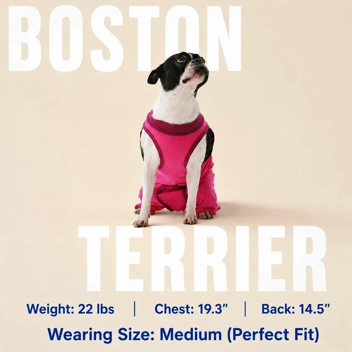 Innovating Dog Rear Leg Sleeve to Stop Lick, Dog Surgery Recovery Suit