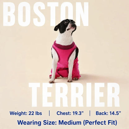 Innovating Dog Rear Leg Sleeve to Stop Lick, Dog Surgery Recovery Suit