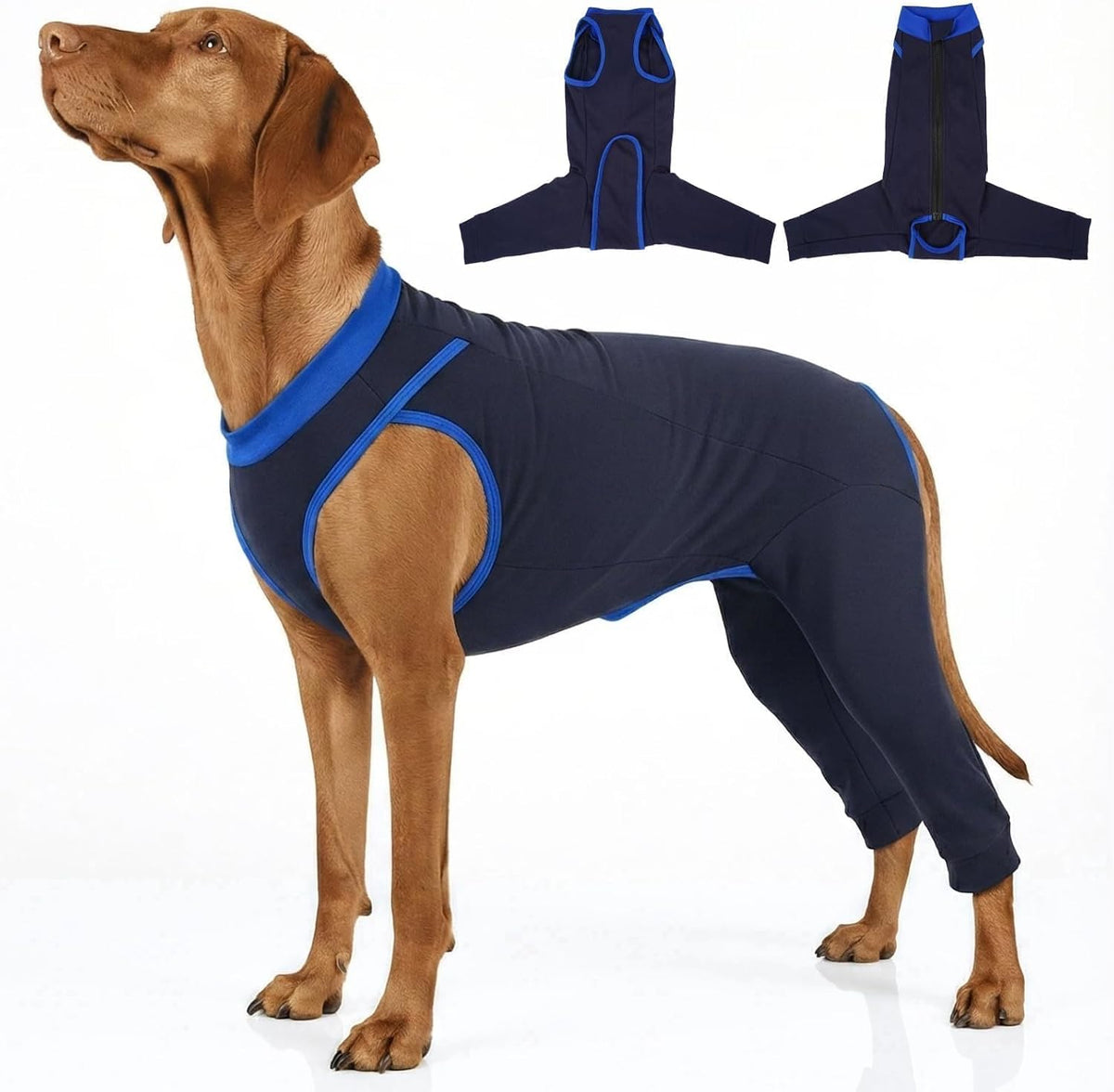 Innovating Dog Rear Leg Sleeve to Stop Lick, Dog Surgery Recovery Suit