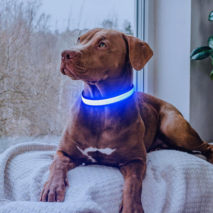 LED Dog Collar, Light Up Dog Collar USB Rechargeable, Green, L