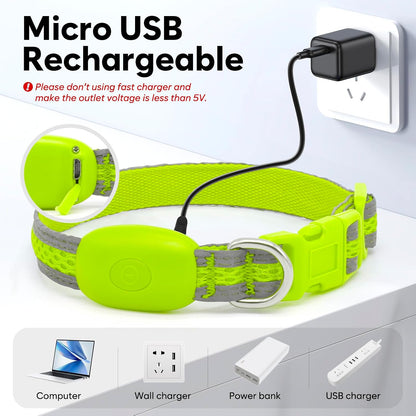 LED Dog Collar, Light Up Dog Collar USB Rechargeable, Green, L