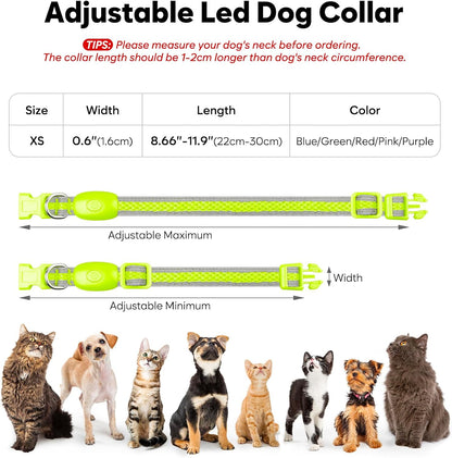 LED Dog Collar, Light Up Dog Collar USB Rechargeable, Green, L