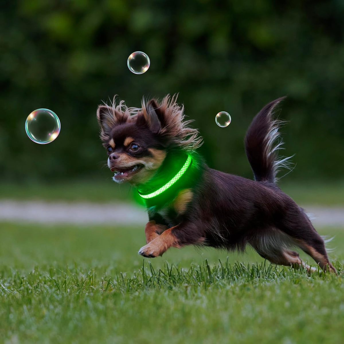 LED Dog Collar, Light Up Dog Collar USB Rechargeable, Green, L