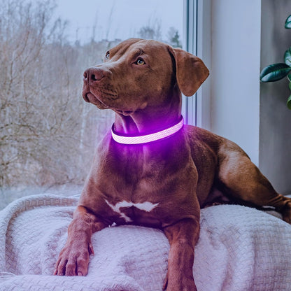 LED Dog Collar, Light Up Dog Collar USB Rechargeable, Green, L