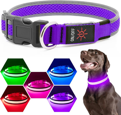 LED Dog Collar, Light Up Dog Collar USB Rechargeable, Green, L