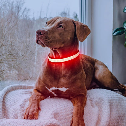 LED Dog Collar, Light Up Dog Collar USB Rechargeable, Green, L