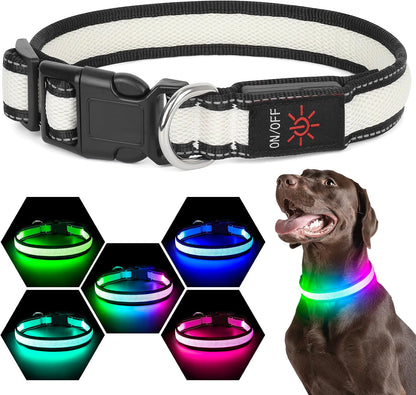 LED Dog Collar, Light Up Dog Collar USB Rechargeable, Green, L