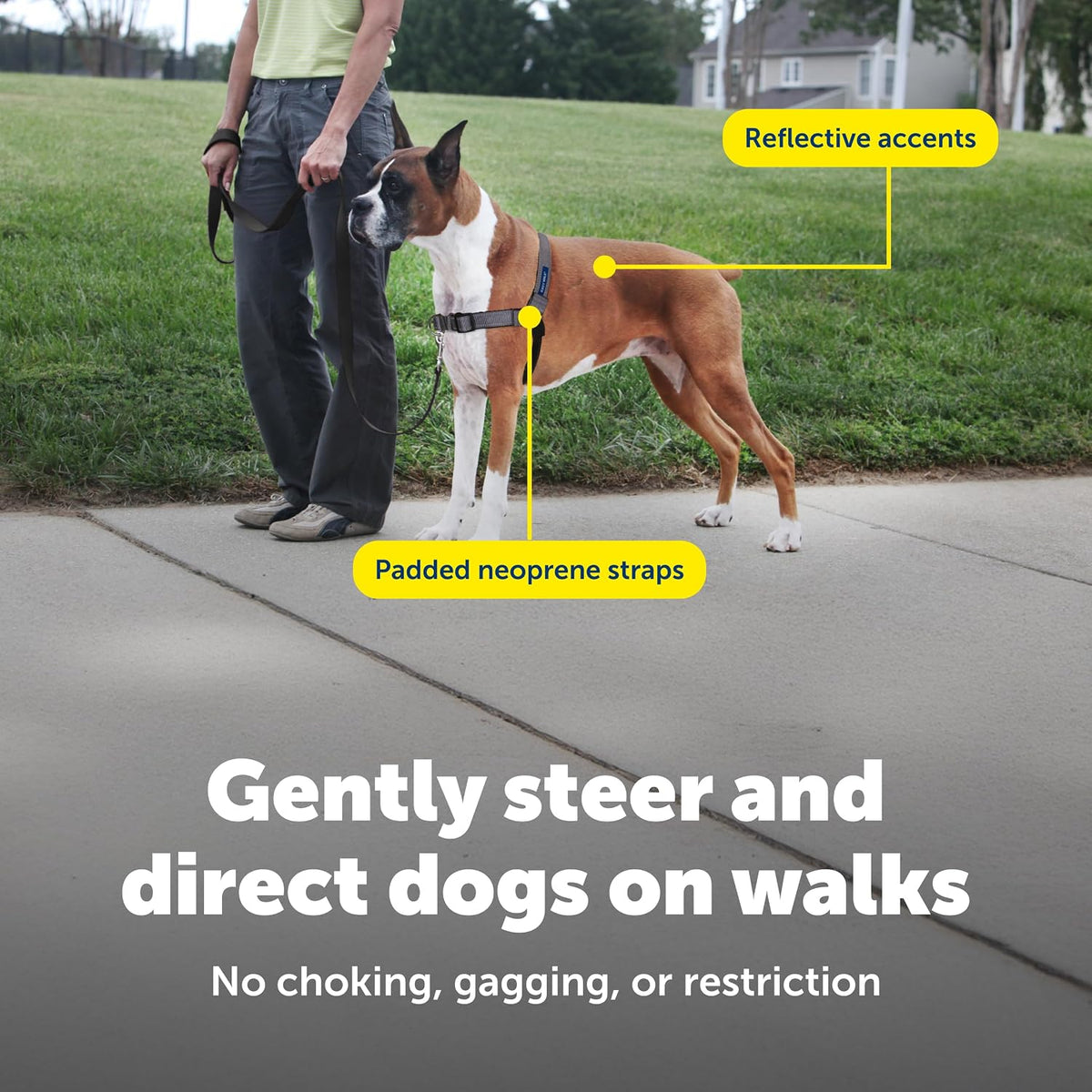 Easy Walk Deluxe Dog Harness, No Pull Dog Harness – Perfect for Leash & Harness Training – Stops Pets from Pulling and Choking on Walks – Medium, Steel