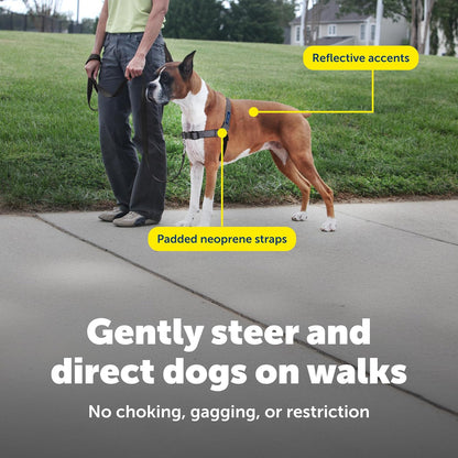 Easy Walk Deluxe Dog Harness, No Pull Dog Harness – Perfect for Leash & Harness Training – Stops Pets from Pulling and Choking on Walks – Medium, Steel
