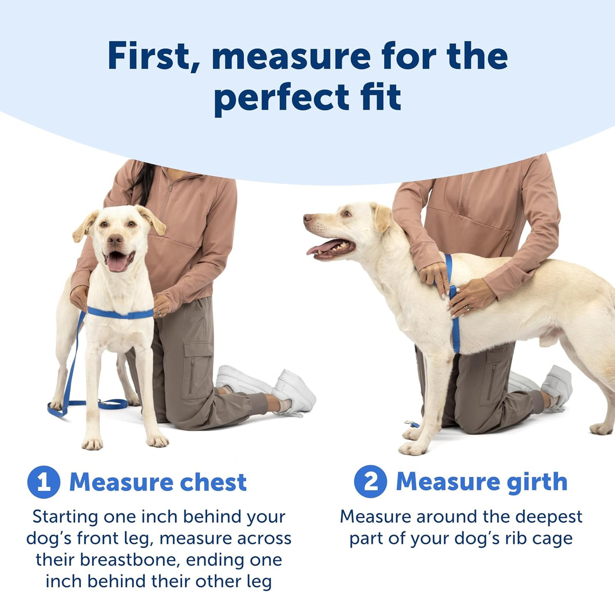 Easy Walk Deluxe Dog Harness, No Pull Dog Harness – Perfect for Leash & Harness Training – Stops Pets from Pulling and Choking on Walks – Medium, Steel