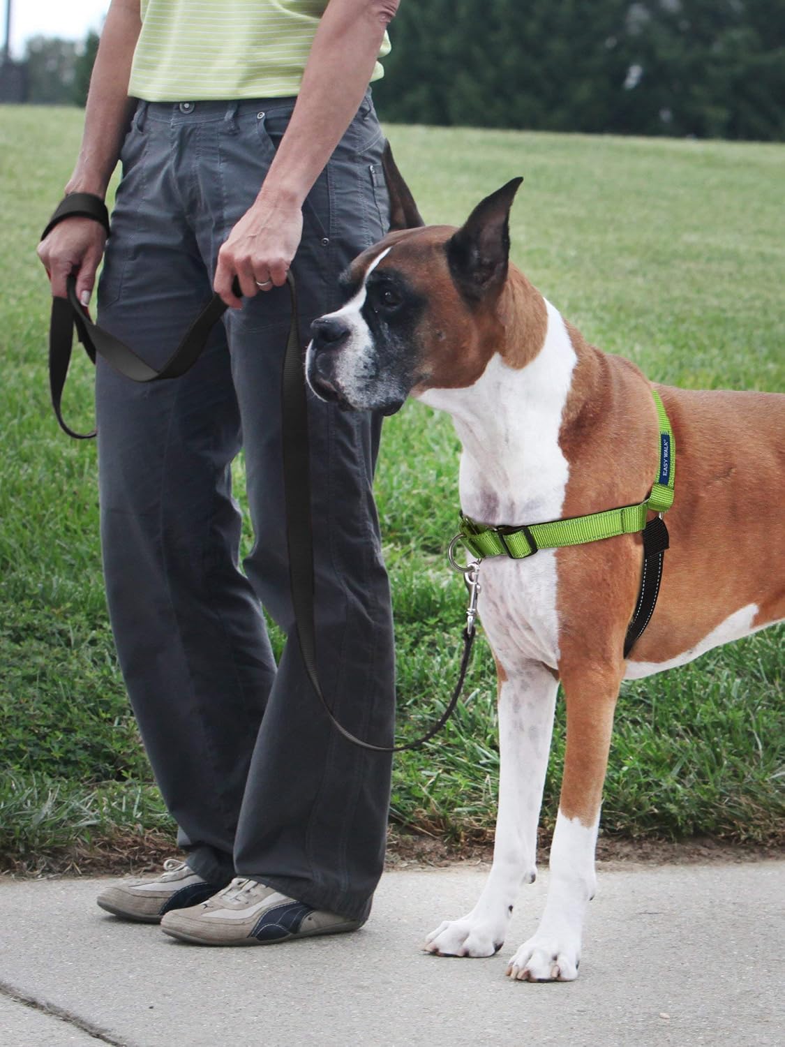 Easy Walk Deluxe Dog Harness, No Pull Dog Harness – Perfect for Leash & Harness Training – Stops Pets from Pulling and Choking on Walks – Medium, Steel