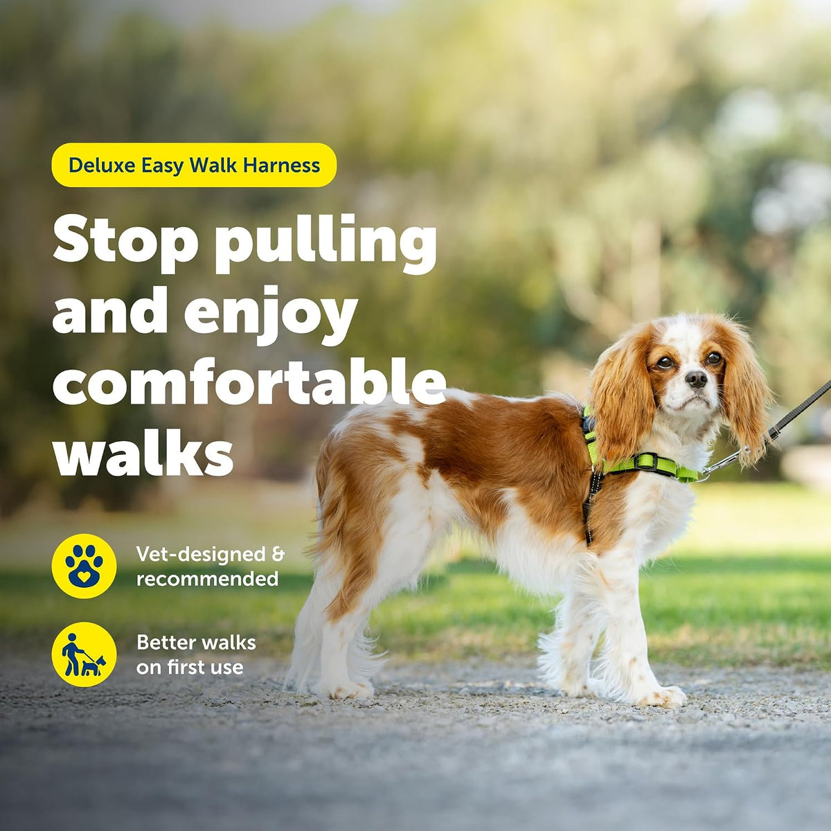 Easy Walk Deluxe Dog Harness, No Pull Dog Harness – Perfect for Leash & Harness Training – Stops Pets from Pulling and Choking on Walks – Medium, Steel