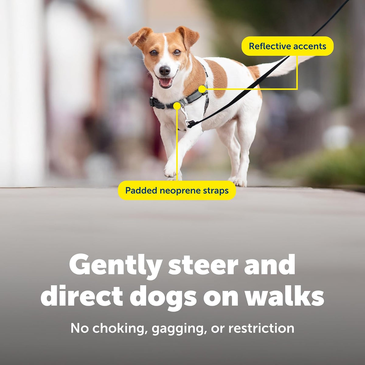 Easy Walk Deluxe Dog Harness, No Pull Dog Harness – Perfect for Leash & Harness Training – Stops Pets from Pulling and Choking on Walks – Medium, Steel