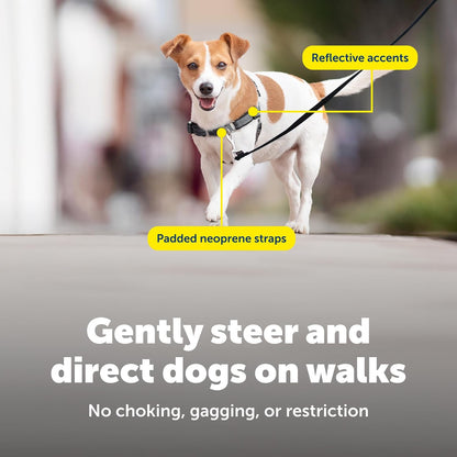 Easy Walk Deluxe Dog Harness, No Pull Dog Harness – Perfect for Leash & Harness Training – Stops Pets from Pulling and Choking on Walks – Medium, Steel