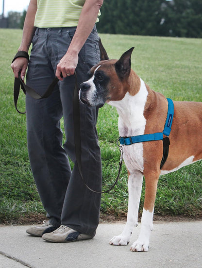 Easy Walk Deluxe Dog Harness, No Pull Dog Harness – Perfect for Leash & Harness Training – Stops Pets from Pulling and Choking on Walks – Medium, Steel