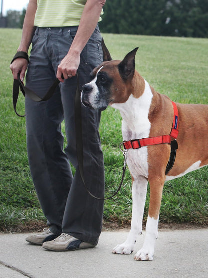 Easy Walk Deluxe Dog Harness, No Pull Dog Harness – Perfect for Leash & Harness Training – Stops Pets from Pulling and Choking on Walks – Medium, Steel