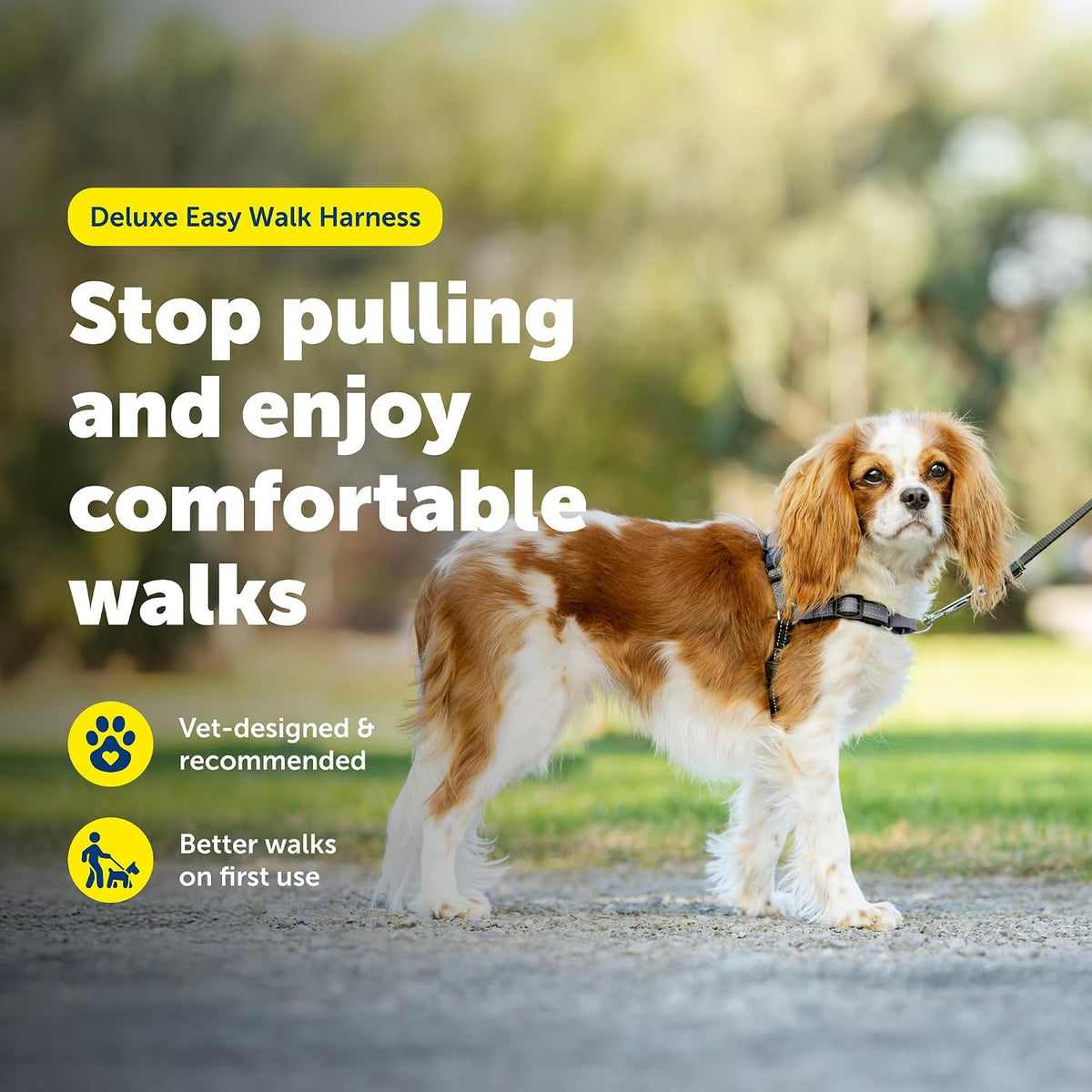 Easy Walk Deluxe Dog Harness, No Pull Dog Harness – Perfect for Leash & Harness Training – Stops Pets from Pulling and Choking on Walks – Medium, Steel