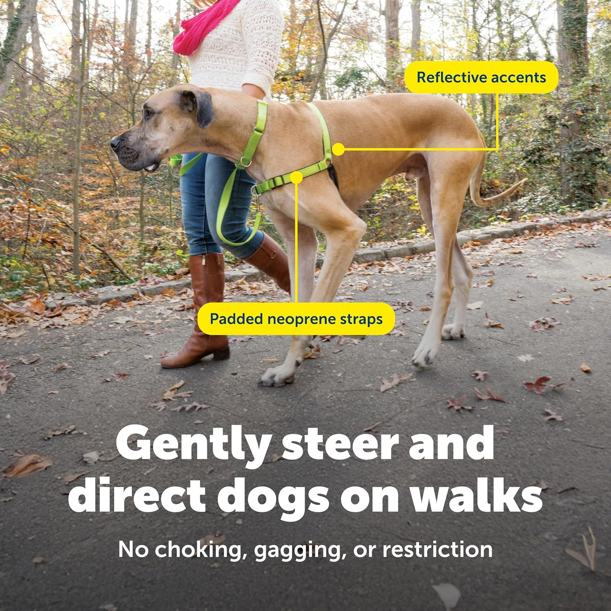 Easy Walk Deluxe Dog Harness, No Pull Dog Harness – Perfect for Leash & Harness Training – Stops Pets from Pulling and Choking on Walks – Medium, Steel