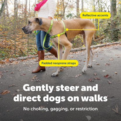 Easy Walk Deluxe Dog Harness, No Pull Dog Harness – Perfect for Leash & Harness Training – Stops Pets from Pulling and Choking on Walks – Medium, Steel