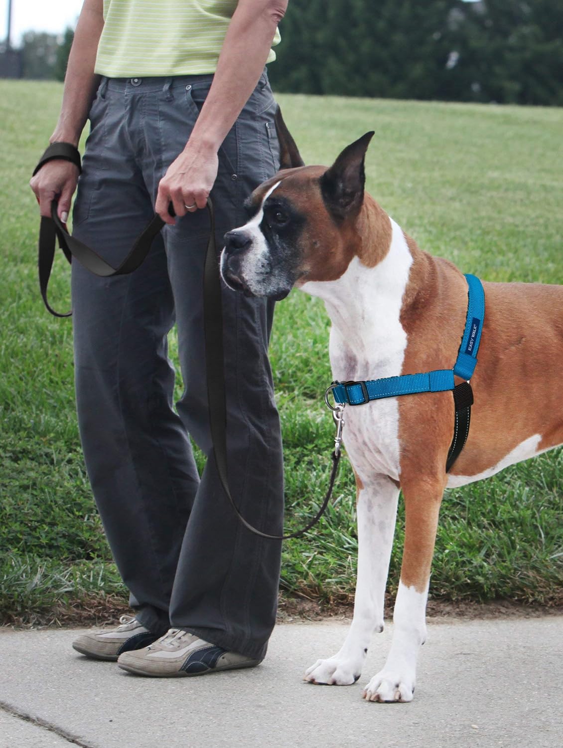 Easy Walk Deluxe Dog Harness, No Pull Dog Harness – Perfect for Leash & Harness Training – Stops Pets from Pulling and Choking on Walks – Medium, Steel