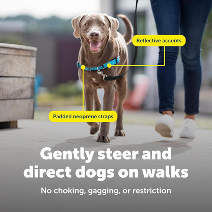 Easy Walk Deluxe Dog Harness, No Pull Dog Harness – Perfect for Leash & Harness Training – Stops Pets from Pulling and Choking on Walks – Medium, Steel