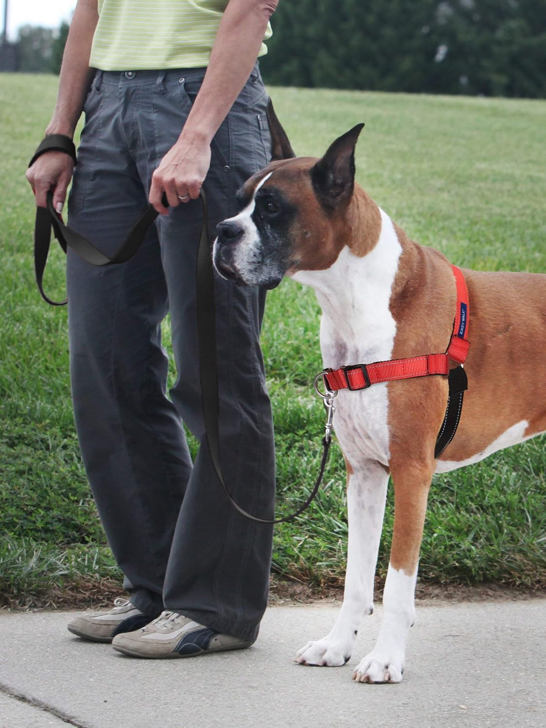 Easy Walk Deluxe Dog Harness, No Pull Dog Harness – Perfect for Leash & Harness Training – Stops Pets from Pulling and Choking on Walks – Medium, Steel