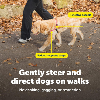 Easy Walk Deluxe Dog Harness, No Pull Dog Harness – Perfect for Leash & Harness Training – Stops Pets from Pulling and Choking on Walks – Medium, Steel