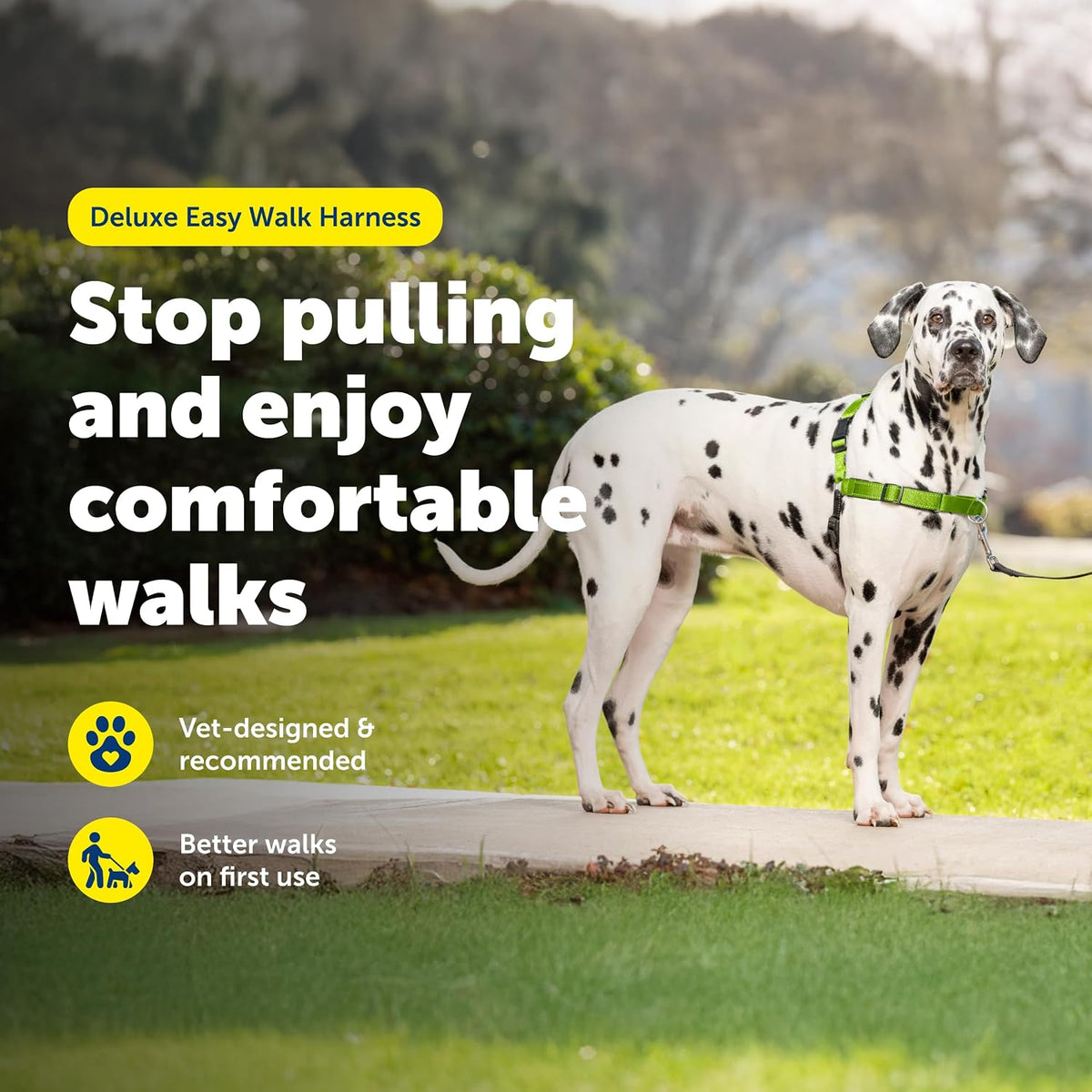Easy Walk Deluxe Dog Harness, No Pull Dog Harness – Perfect for Leash & Harness Training – Stops Pets from Pulling and Choking on Walks – Medium, Steel