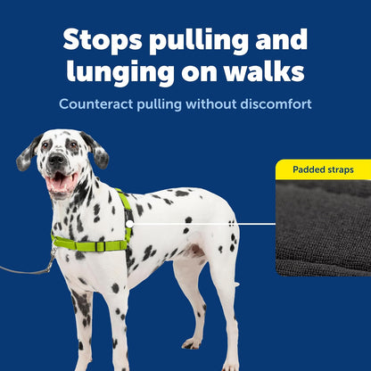 Easy Walk Deluxe Dog Harness, No Pull Dog Harness – Perfect for Leash & Harness Training – Stops Pets from Pulling and Choking on Walks – Medium, Steel