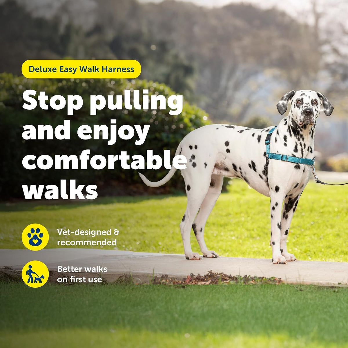 Easy Walk Deluxe Dog Harness, No Pull Dog Harness – Perfect for Leash & Harness Training – Stops Pets from Pulling and Choking on Walks – Medium, Steel