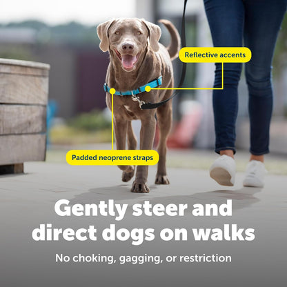 Easy Walk Deluxe Dog Harness, No Pull Dog Harness – Perfect for Leash & Harness Training – Stops Pets from Pulling and Choking on Walks – Medium, Steel