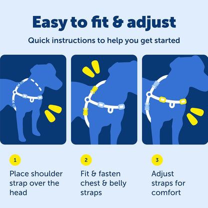 Easy Walk Deluxe Dog Harness, No Pull Dog Harness – Perfect for Leash & Harness Training – Stops Pets from Pulling and Choking on Walks – Medium, Steel