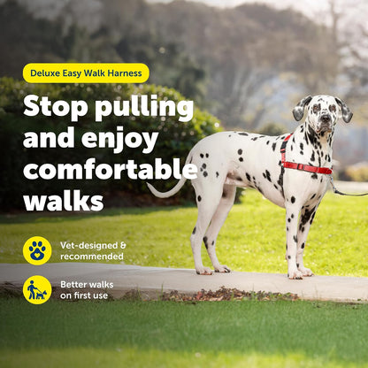 Easy Walk Deluxe Dog Harness, No Pull Dog Harness – Perfect for Leash & Harness Training – Stops Pets from Pulling and Choking on Walks – Medium, Steel