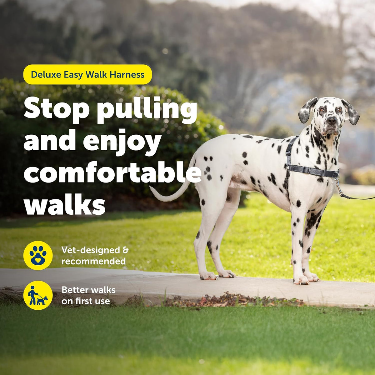 Easy Walk Deluxe Dog Harness, No Pull Dog Harness – Perfect for Leash & Harness Training – Stops Pets from Pulling and Choking on Walks – Medium, Steel