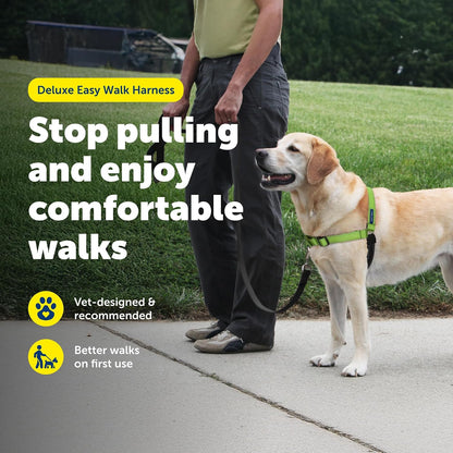 Easy Walk Deluxe Dog Harness, No Pull Dog Harness – Perfect for Leash & Harness Training – Stops Pets from Pulling and Choking on Walks – Medium, Steel