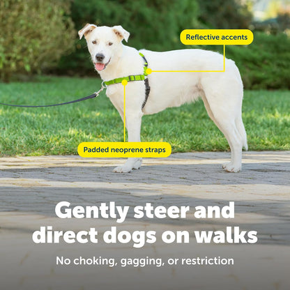 Easy Walk Deluxe Dog Harness, No Pull Dog Harness – Perfect for Leash & Harness Training – Stops Pets from Pulling and Choking on Walks – Medium, Steel