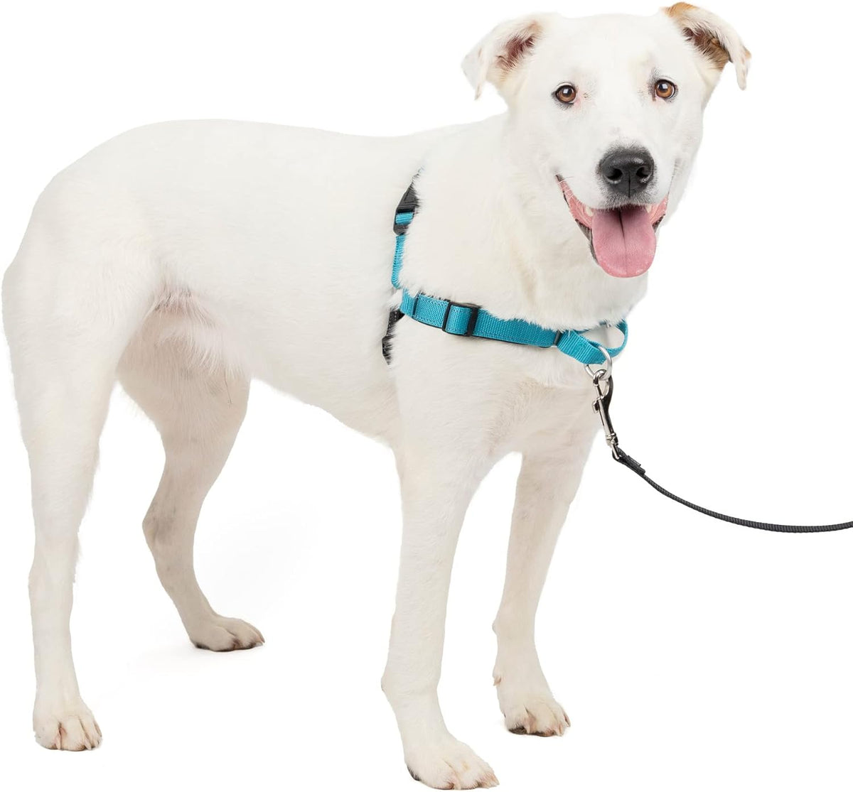 Easy Walk Deluxe Dog Harness, No Pull Dog Harness – Perfect for Leash & Harness Training – Stops Pets from Pulling and Choking on Walks – Medium, Steel