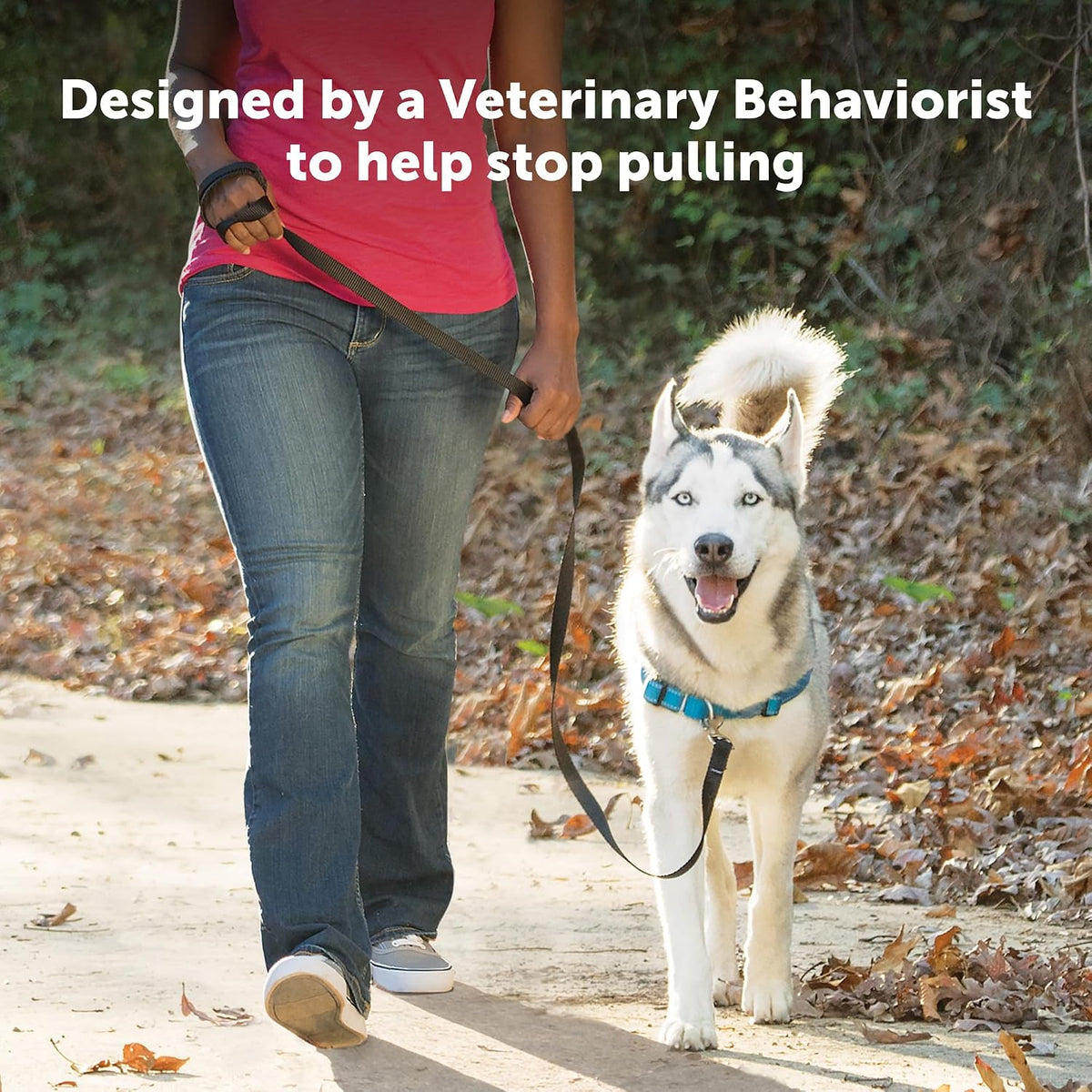 Easy Walk Deluxe Dog Harness, No Pull Dog Harness – Perfect for Leash & Harness Training – Stops Pets from Pulling and Choking on Walks – Medium, Steel
