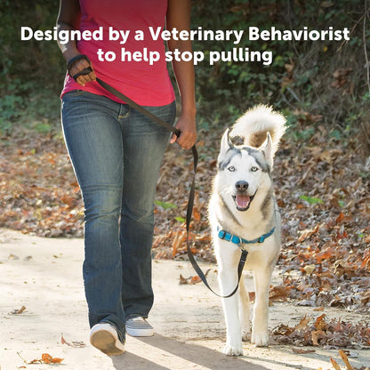 Easy Walk Deluxe Dog Harness, No Pull Dog Harness – Perfect for Leash & Harness Training – Stops Pets from Pulling and Choking on Walks – Medium, Steel