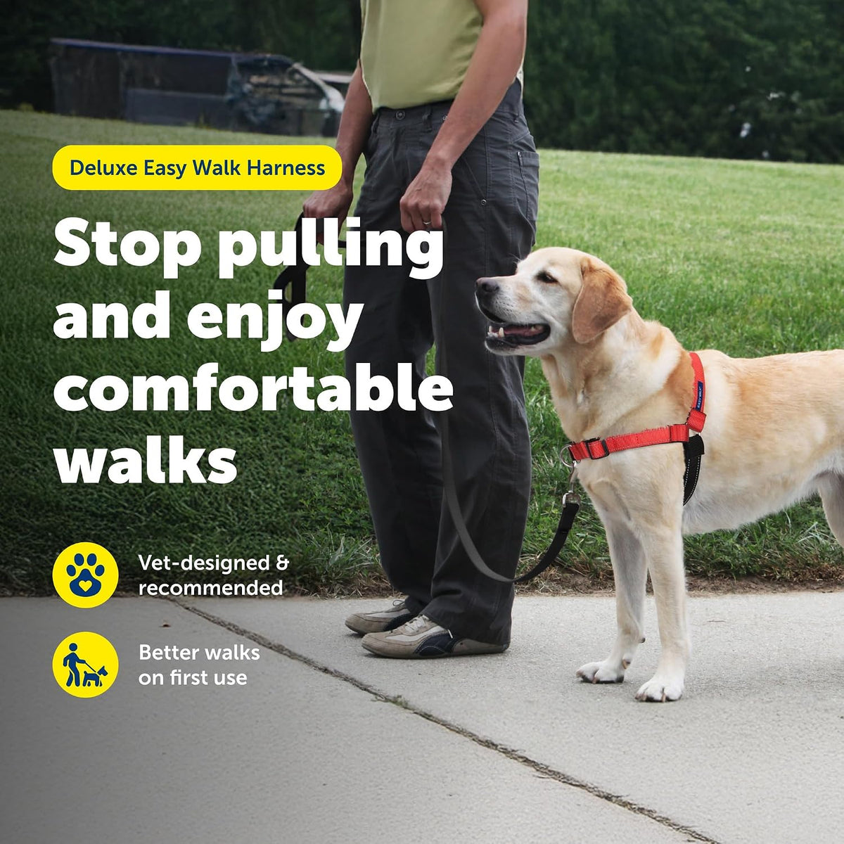 Easy Walk Deluxe Dog Harness, No Pull Dog Harness – Perfect for Leash & Harness Training – Stops Pets from Pulling and Choking on Walks – Medium, Steel