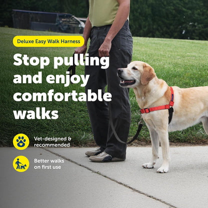 Easy Walk Deluxe Dog Harness, No Pull Dog Harness – Perfect for Leash & Harness Training – Stops Pets from Pulling and Choking on Walks – Medium, Steel
