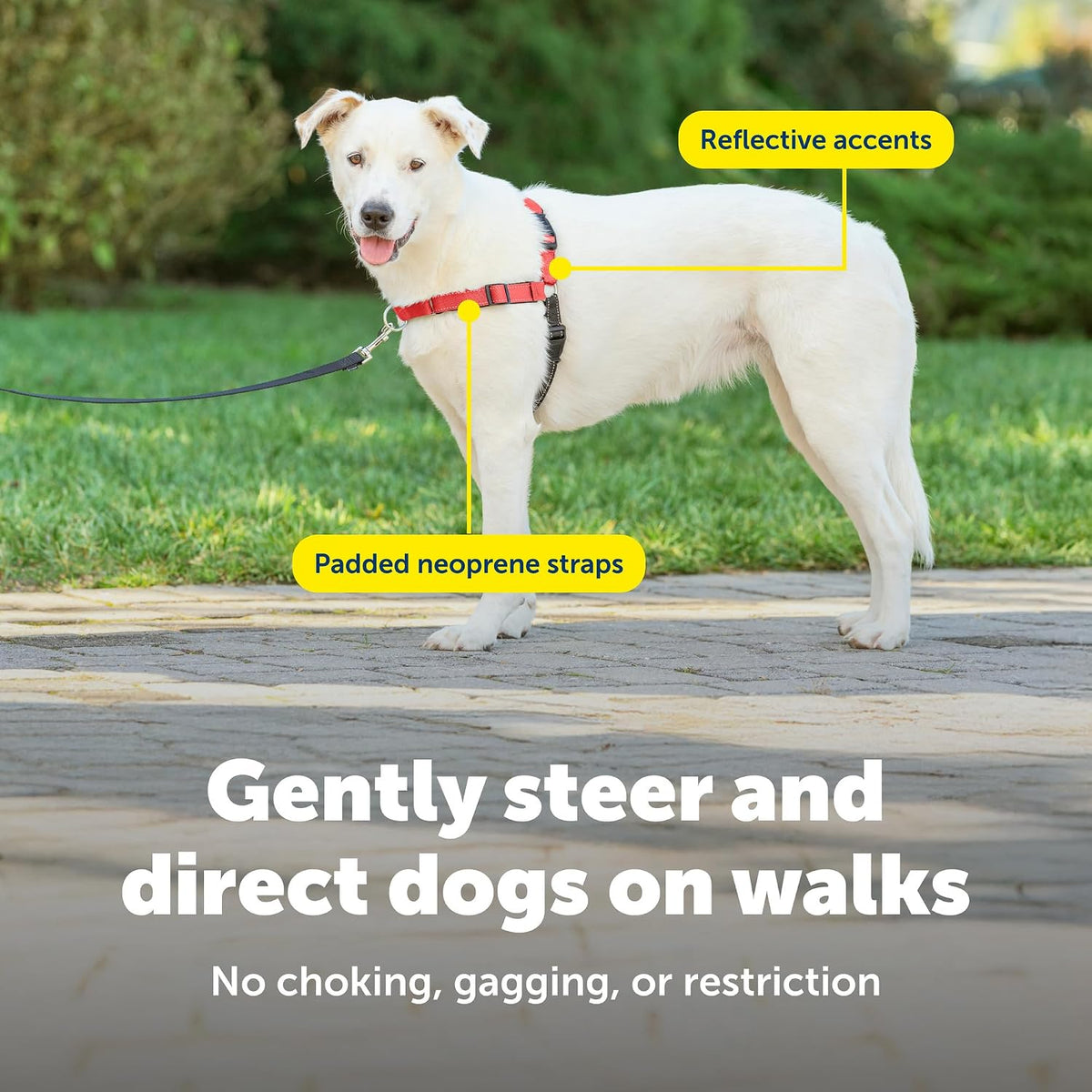 Easy Walk Deluxe Dog Harness, No Pull Dog Harness – Perfect for Leash & Harness Training – Stops Pets from Pulling and Choking on Walks – Medium, Steel